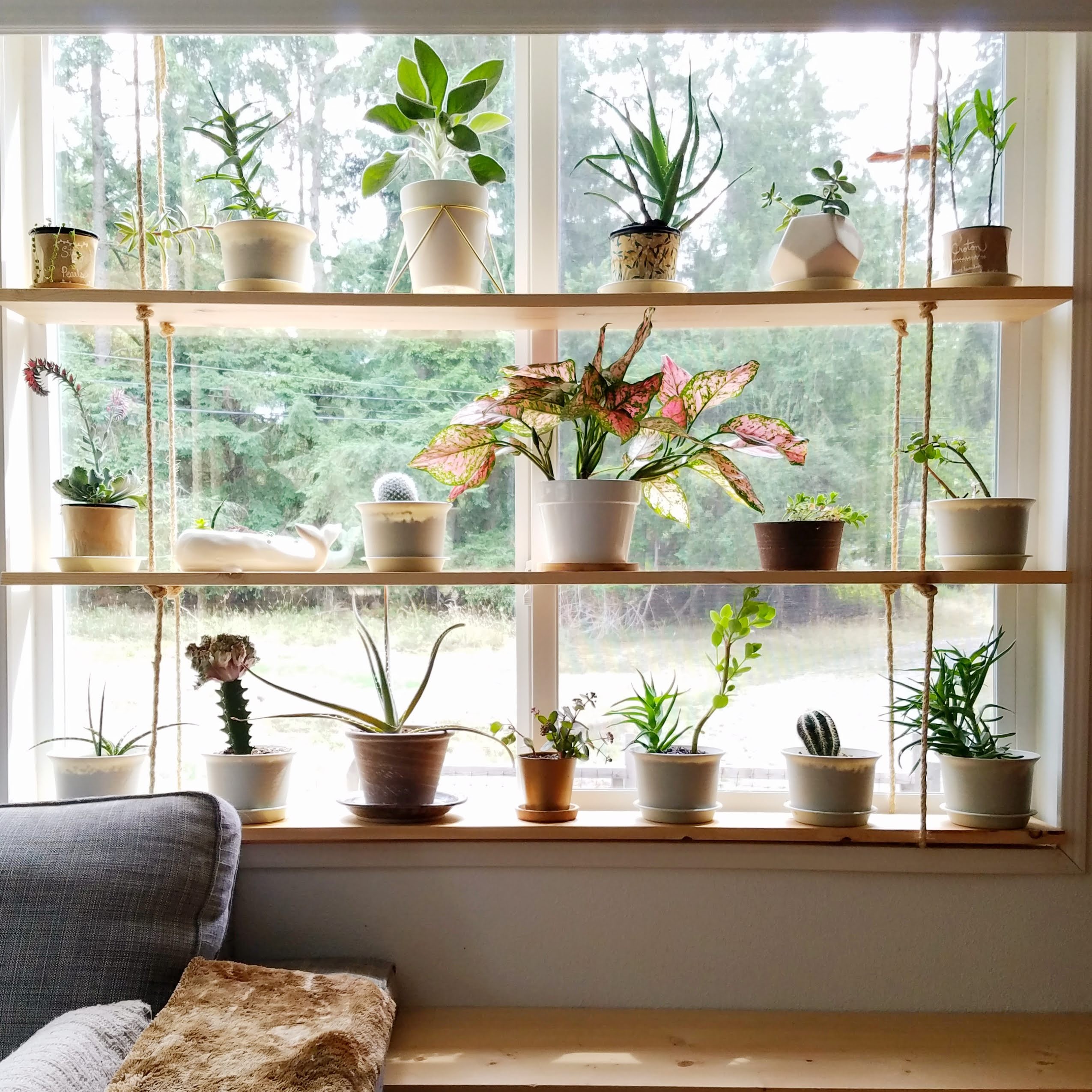 How to make a window hanging plant shelf?